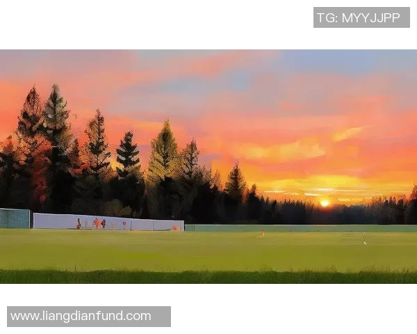 激情四溢的绿茵场上足球主题曲唤醒梦想与荣耀的旋律